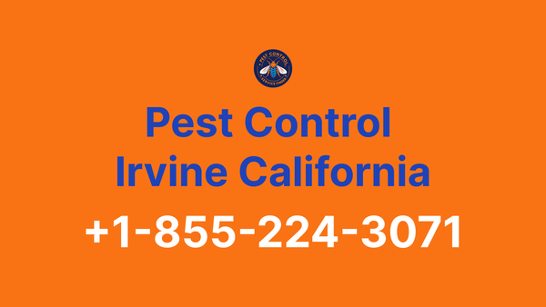 Full List of Pest Control Irvine California Contact Numbers - Complete Service Guide 2025