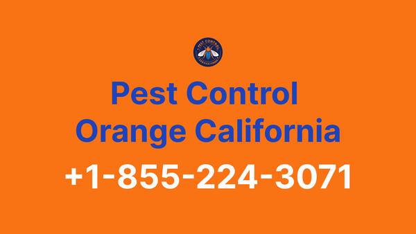 Full List of Pest Control Orange California Contact Numbers - Complete Service Guide 2025