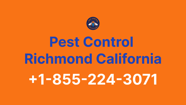 Full List of Pest Control Richmond California Contact Numbers - Complete Service Guide 2025