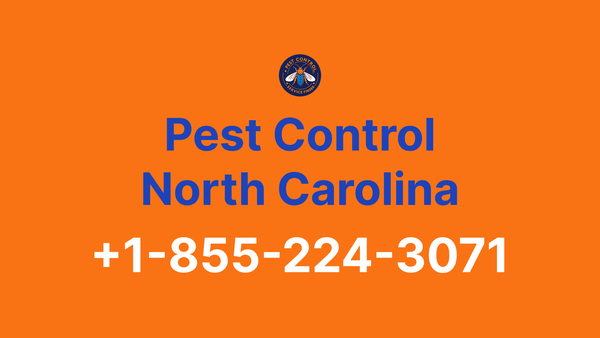 Full List of Pest Control North Carolina Contact Numbers - Complete Service Guide 2025