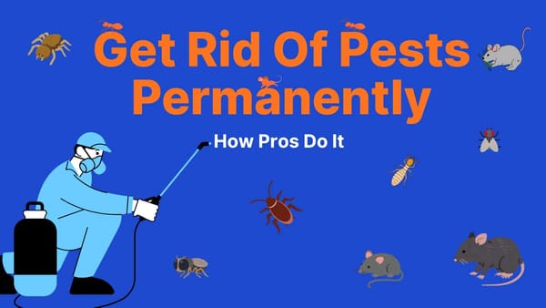 How to Permanently Get Rid of Pests in Your Home