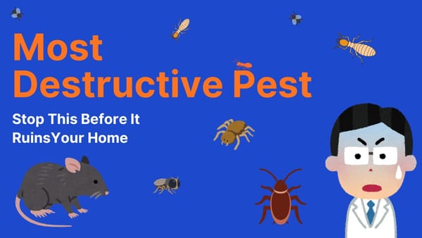 What Is the Most Destructive Pest (Stop It Before It Ruins Your Home)