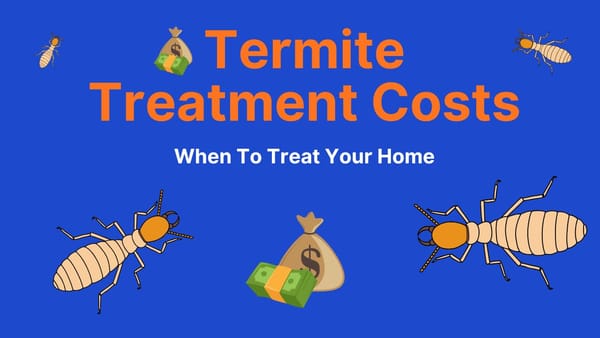 Termite Treatment Costs & When to Treat Your Home